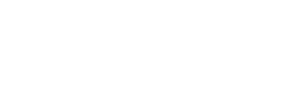 דן עמיר - ייעוץ עסקי וקולינרי למסעדות - לוגו